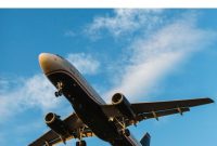 Master the Art of Free Travel