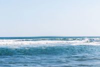 Essential Beach Gear for Your Best Trip