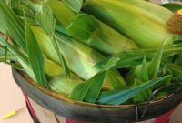 Freezing Summer’s Sweetness