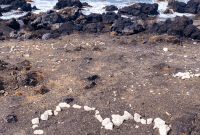 Big Island Family Adventure: 7 Days from Kona