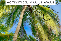 Making Memories: Maui’s Best Family Experiences