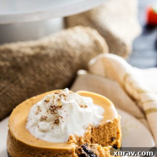 A delicious pumpkin cookie cheesecake recipe.