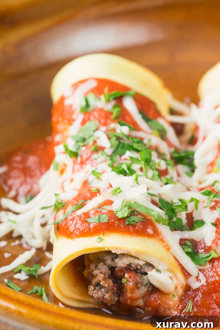 A plate with a lasagna roll up on it, garnished with fresh basil.