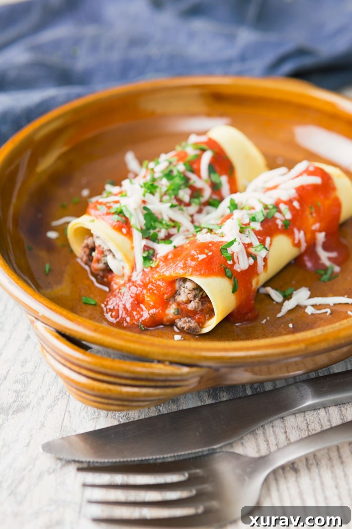 Close-up of three lasagna roll ups on a plate, topped with sauce and cheese.
