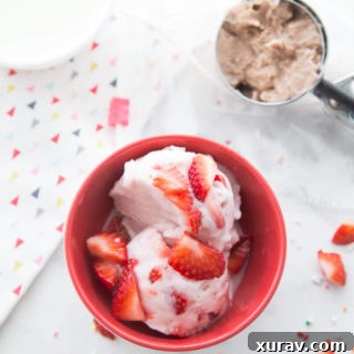 Homemade Bag Ice Cream