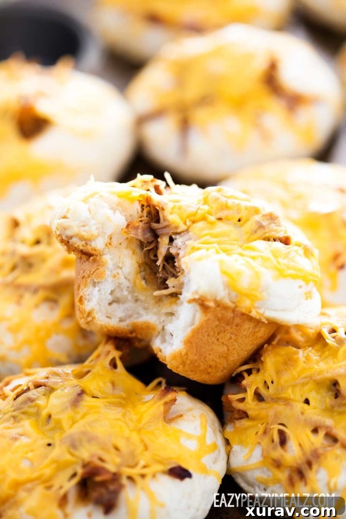 bite-out-of-bbq-pork-cup