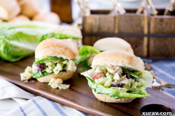 Horizontal shot of assembled chicken salad sandwich