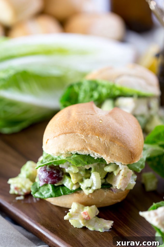 Beautifully plated chicken salad sandwich on a roll