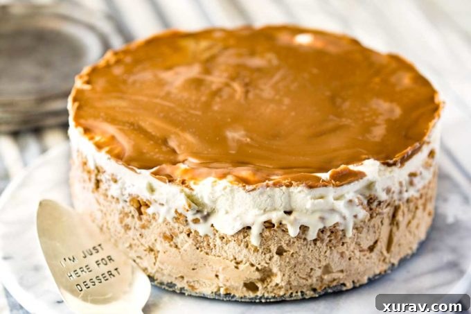 Cookie Ice Cream Cake