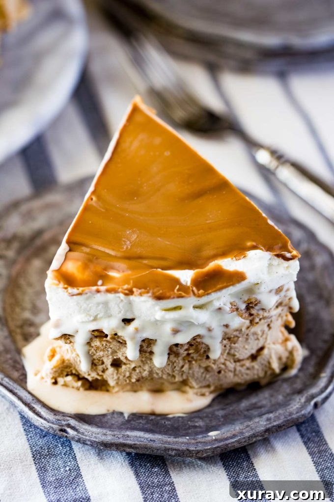 Cookie Ice Cream Cake Recipes