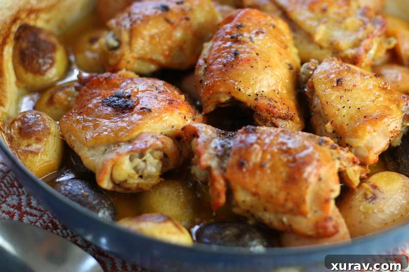 Baked chicken thighs surrounded by colorful small potatoes, all simmering in a creamy lemon garlic sauce, freshly out of the oven.