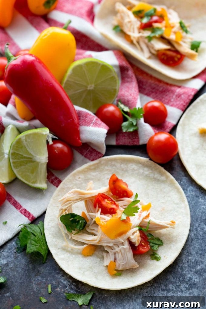 A whole platter filled with Easy Mango Habanero Chicken Tacos, garnished and ready for a family meal or entertaining, highlighting their simple preparation.