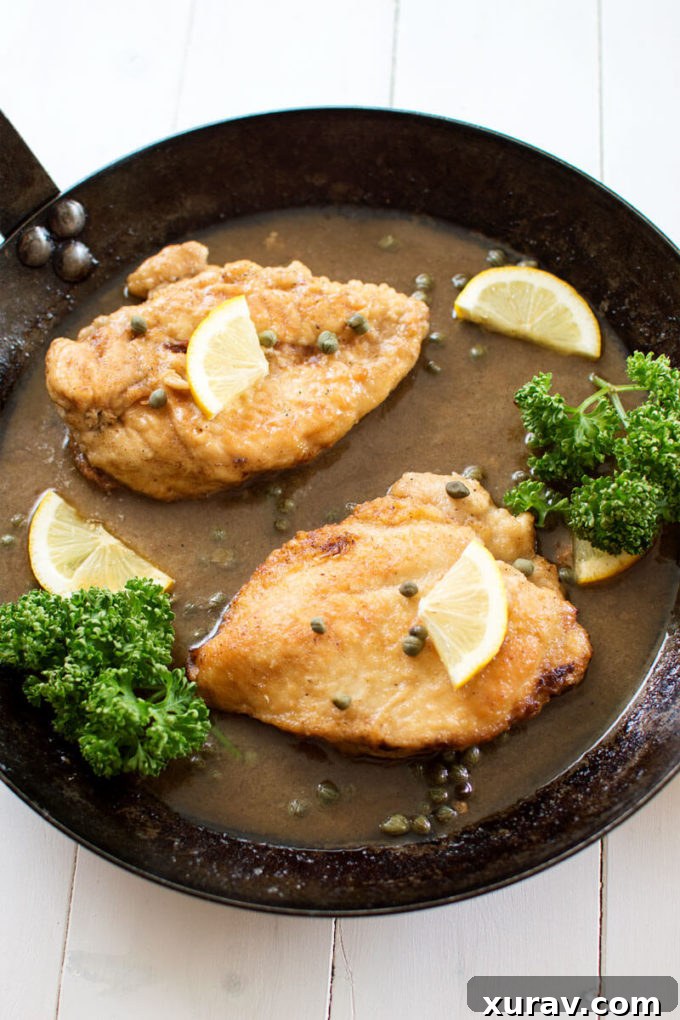 Lemon Chicken Piccata plated with egg noodles and fresh parsley