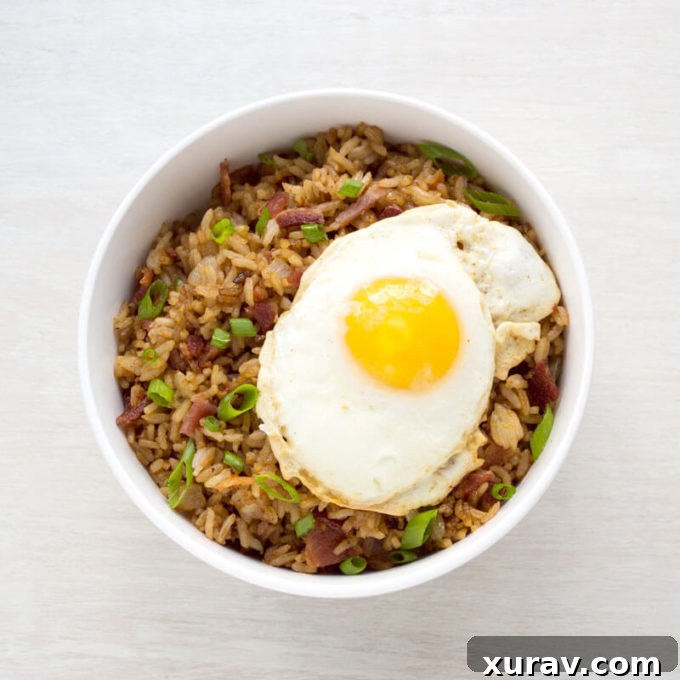 Delicious Bacon Fried Rice with scrambled egg and green onions