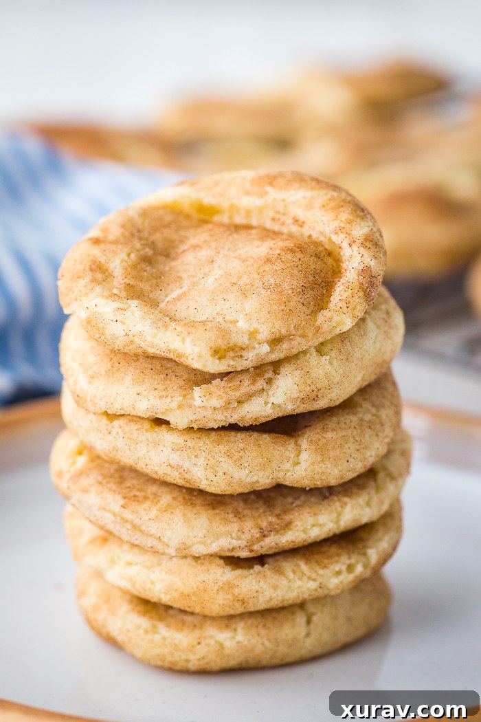 Classic Snickerdoodle Cookies