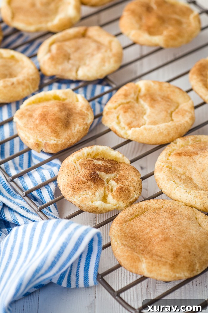 Freshly Baked Snickerdoodle Cookies