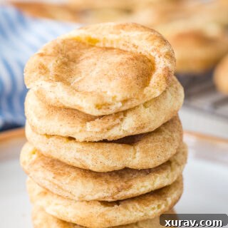 Snickerdoodle Cookies