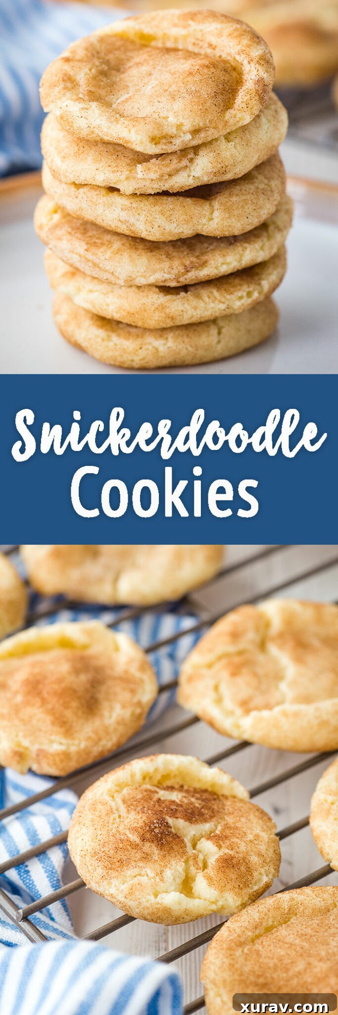 Pin this Snickerdoodle Cookies recipe