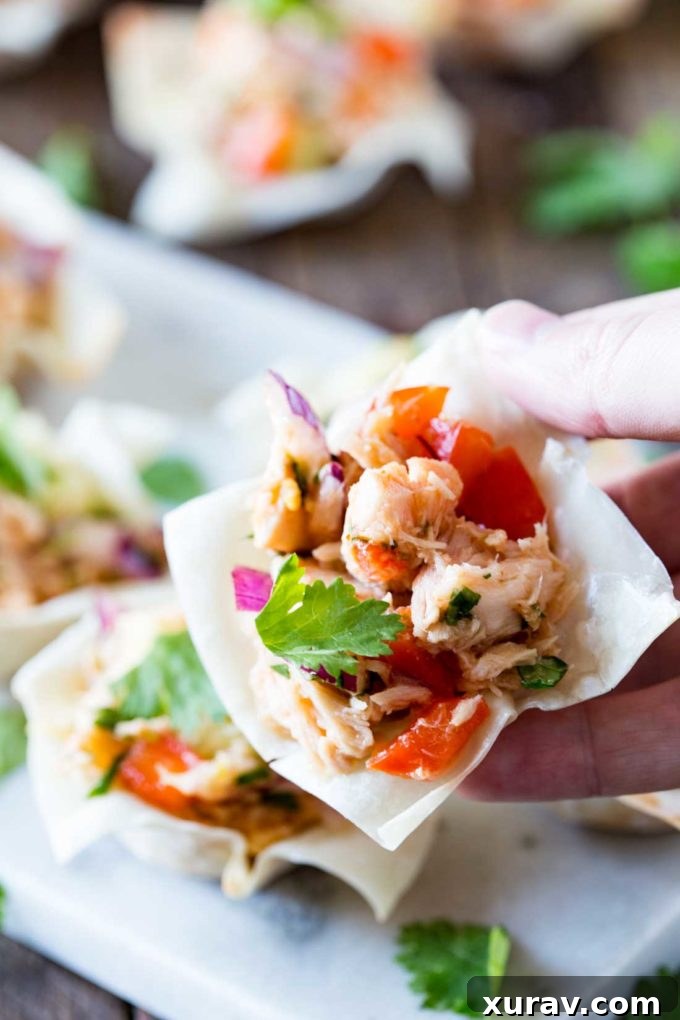 Thai Tuna Wonton Cups: A delightful and easy-to-make appetizer, showcasing a perfect blend of crisp wonton and savory Thai tuna filling.