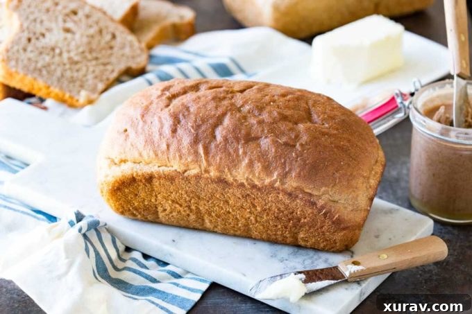Multiple loaves of golden honey whole wheat bread on a cooling rack