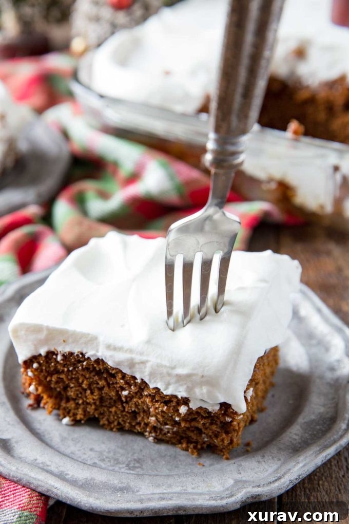 Rich, dark, and perfectly spiced gingerbread cake topped with a generous swirl of fresh white whipped cream, ready for holiday celebrations.
