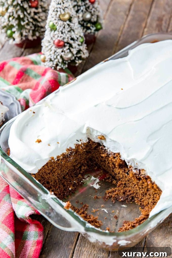 A slice of warm gingerbread cake with a dollop of fresh whipped cream, ready to be enjoyed as a perfect holiday treat.