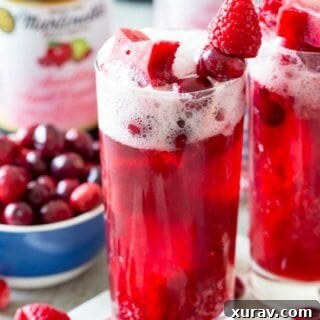 Cranberry Apple Raspberry Sparkling Brunch Punch is easy to make, impressive, and delicious