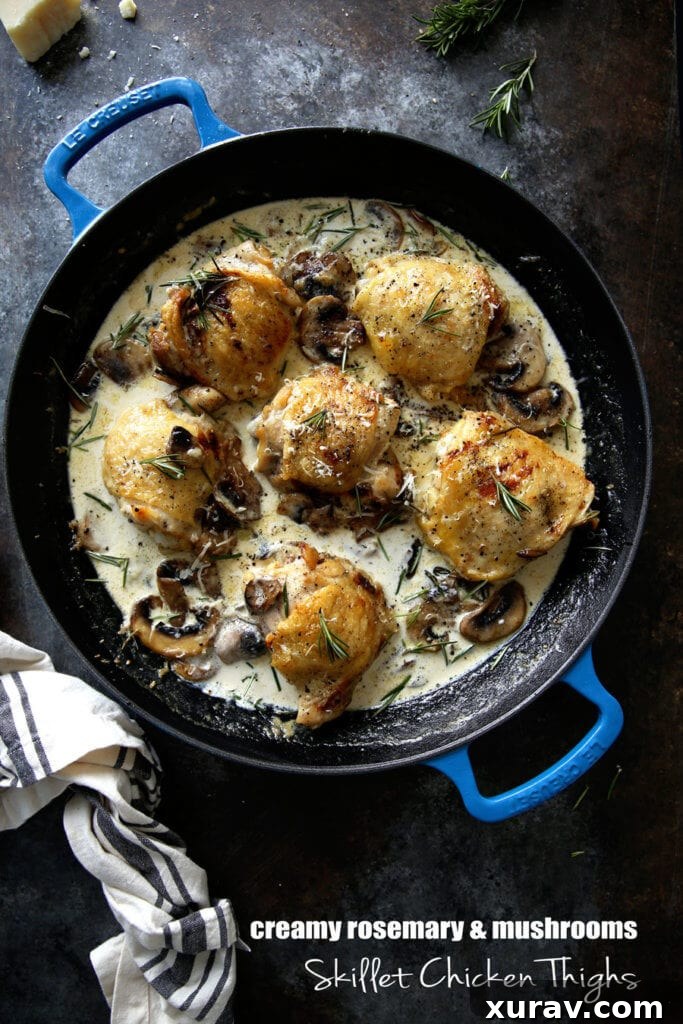 Creamy Chicken Thighs with Mushroom Sauce