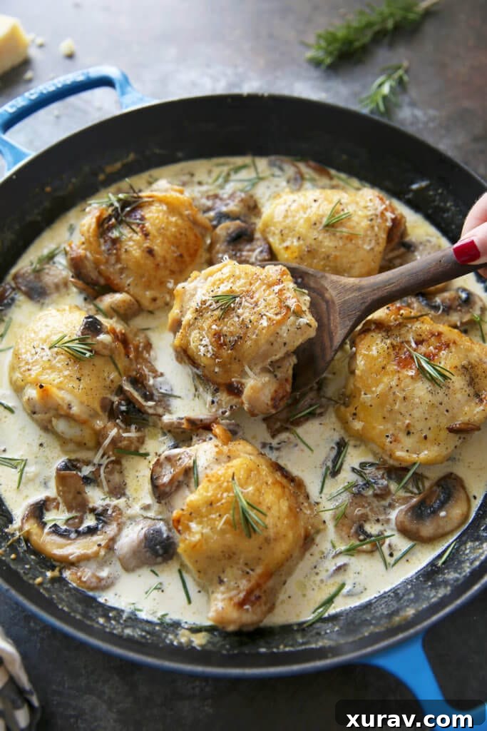 Creamy Chicken Thighs