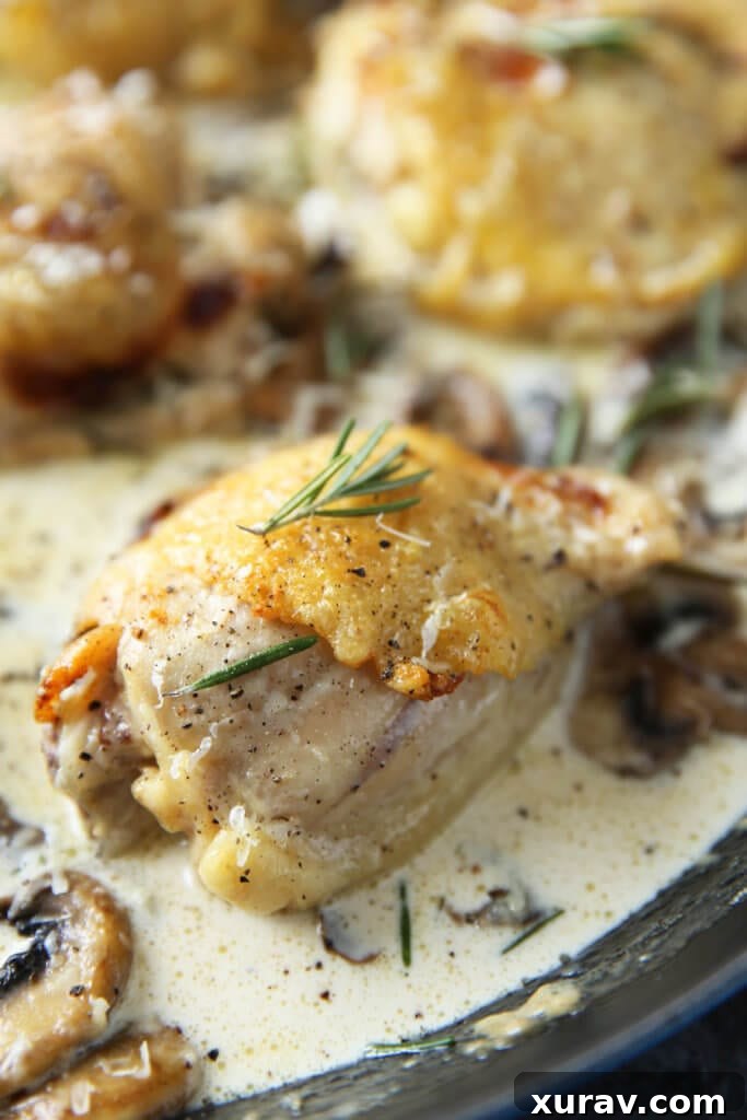 Chicken Thighs in Cream Sauce with Rosemary