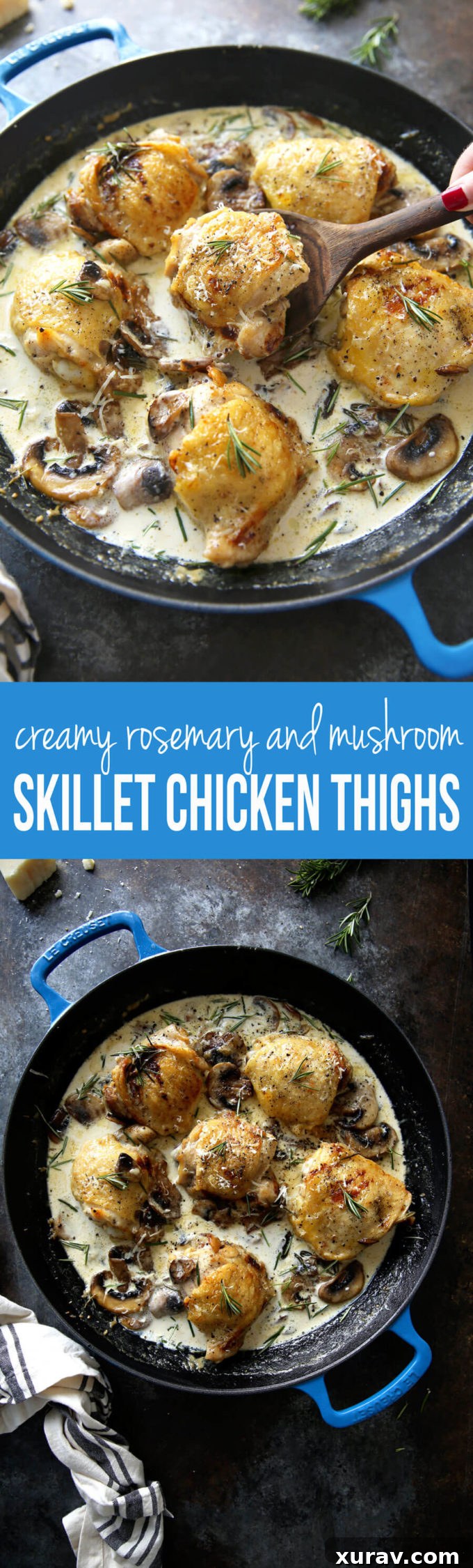 Chicken Thighs with Mushroom Cream Sauce: Creamy, hearty, and delicious chicken that is a real crowd pleaser and easy to make. Every last creamy, luscious bite!