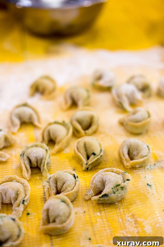 Rome with Kids Tortellini and pasta making in ROME