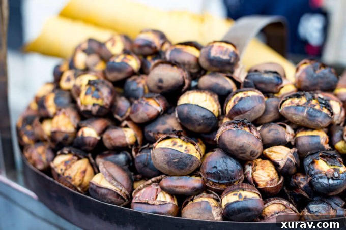 Rome with Kids Roasted chestnuts
