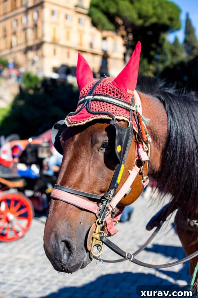Rome with Kids Walking the streets of rome italy with my kids