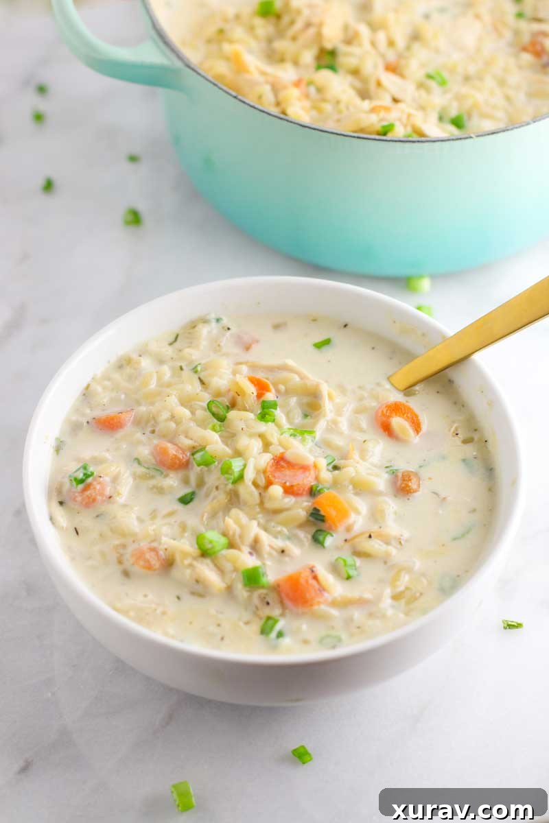 Rich and creamy chicken orzo soup served in a bowl, garnished with fresh herbs, ready to be enjoyed.