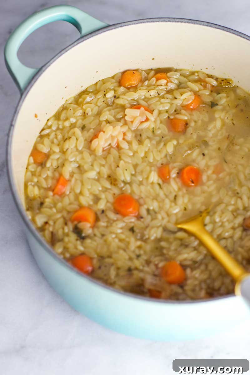 A bowl of freshly made creamy chicken orzo soup, garnished with green onions, ready to be served and enjoyed.