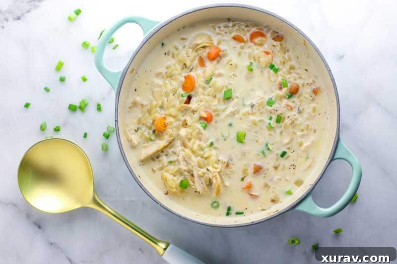 A rustic Dutch oven filled with rich, creamy chicken orzo soup, garnished with fresh parsley on a wooden surface.