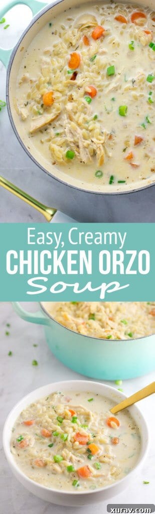 Pin this Creamy Chicken Orzo Soup recipe to your Pinterest board for easy access later.