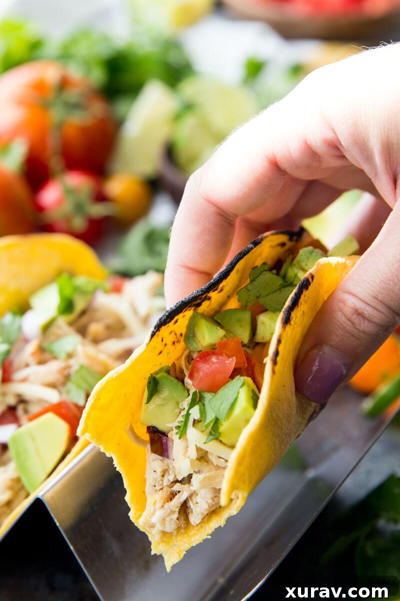 Close-up of Slow Cooker Honey Lime Chicken Tacos, ready to be enjoyed.