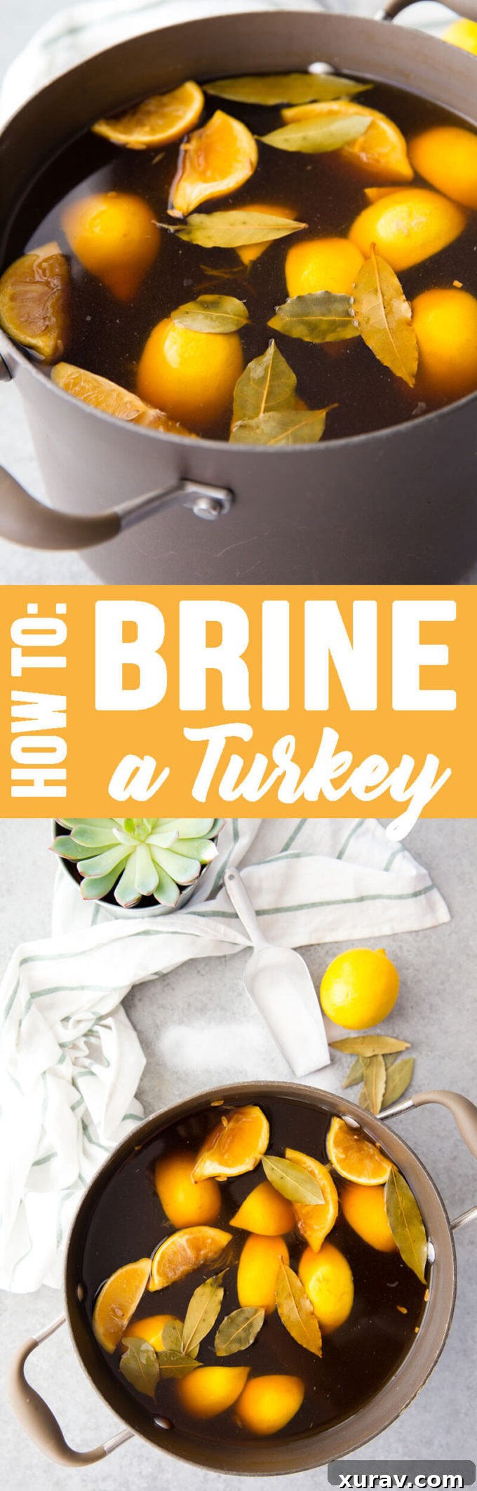 Unlock the Juiciest Flavor Your Turkey Brining Guide 6 How to brine a turkey