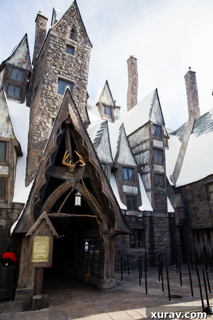 Maximize Your Magic: Top Tips for Universal Studios Hollywood's Wizarding World 6 A delicious spread of the Great Feast at The Three Broomsticks, featuring roasted chicken, ribs, and vegetables.