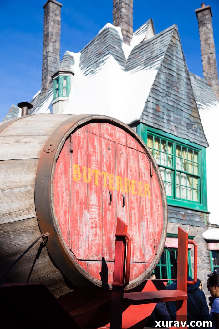 Maximize Your Magic: Top Tips for Universal Studios Hollywood's Wizarding World 9 Friends enjoying refreshing Butterbeer together in The Wizarding World of Harry Potter.