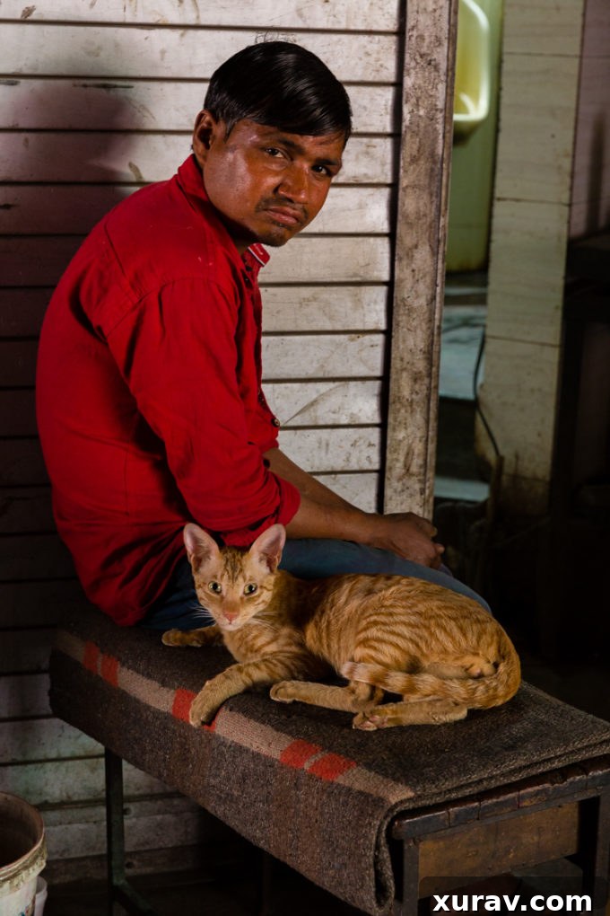 Man with cat in Old Delhi India, reflecting daily life