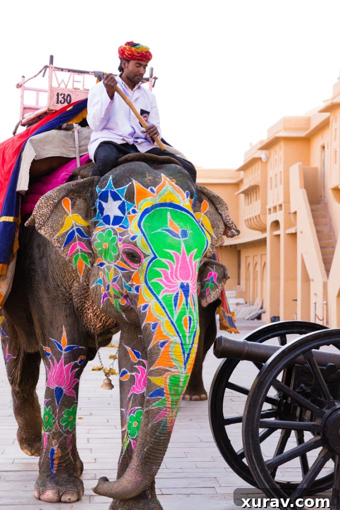 Colorful Elephants painted for Holiday at the Amber Fort in Jaipur