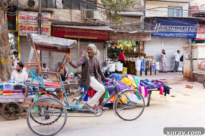 Riding a bicycle, driving a tuk tuk, diverse transportation methods in India.