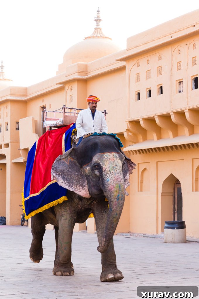 Riding an elephant in Jaipur, part of India's unique travel experiences