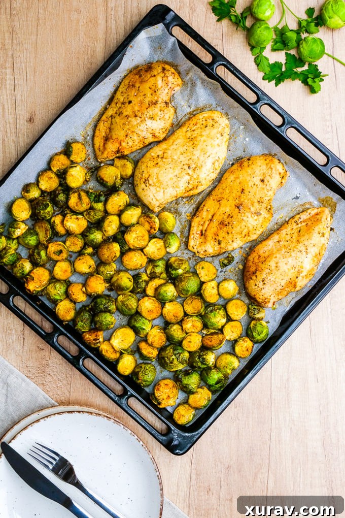 Golden brown roasted chicken breasts and perfectly caramelized Brussels sprouts spread across a sheet pan, ready to serve.