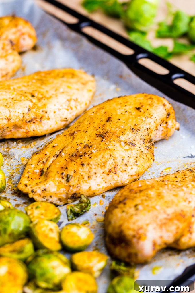Preparing fresh Brussels sprouts and chicken on a sheet pan with seasoning, ready for roasting.