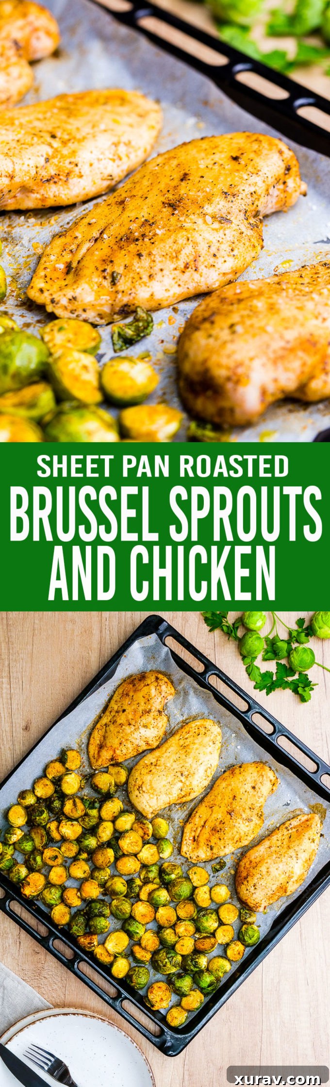 A visually appealing pin image for Sheet Pan Roasted Brussels Sprouts with Chicken, highlighting easy meal prep.