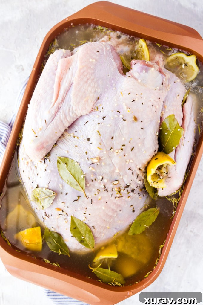 How to brine a turkey- A whole turkey in turkey brine in a roasting pan